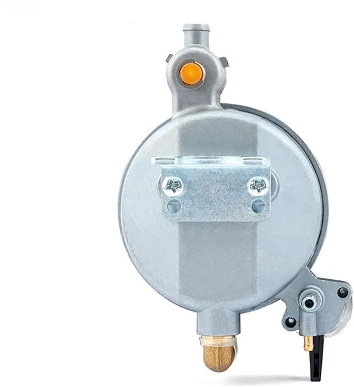 GT241 154F Gasoline Generator Parts Engine Double Use LPG Manual Carburetor Kit Assy(P15A-LPG)