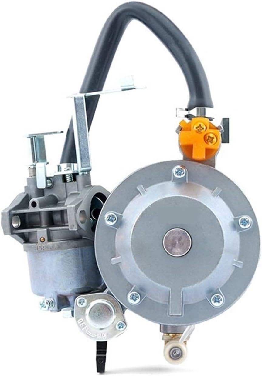 GT241 154F Gasoline Generator Parts Engine Double Use LPG Manual Carburetor Kit Assy(P15A-LPG)