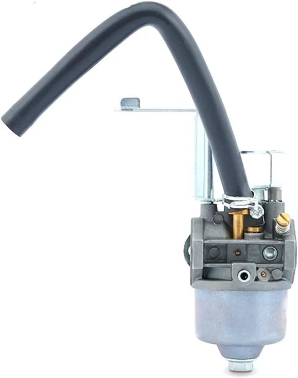 GT241 154F Gasoline Generator Parts Engine Double Use LPG Manual Carburetor Kit Assy(P15A-LPG)