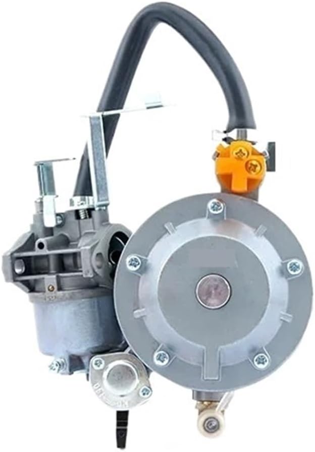 GT241 154F Gasoline Generator Parts Engine Double Use LPG Manual Carburetor Kit Assy(P15A-LPG)
