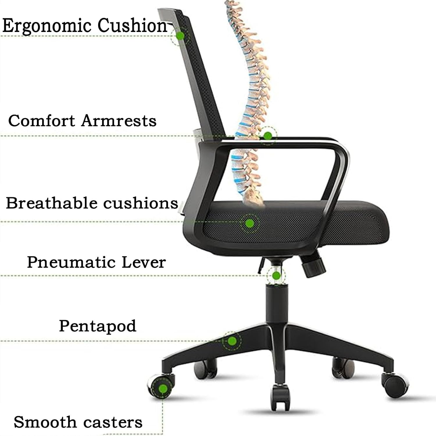 Mid-Back Mesh Computer Chair Set of 2,Home Mesh Desk Chair, Ergonomic Desk Chair, Lumbar Support Comfortable Executive,with Wheels 360 Swivel Task Chair for Office Home and Gaming