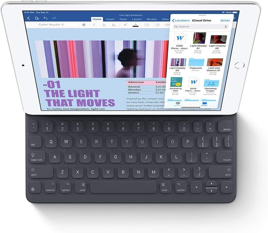 Apple 2019 iPad (10.2-inch, Wi-Fi + Cellular, 32GB) - Space Gray (Renewed Premium)