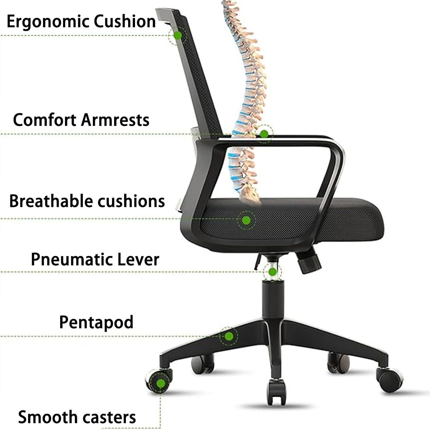 Mesh Executive Office Chair Set of 2, with Wheels 360 Swivel Task Chair, Comfortable Lumbar Support, Ergonomic Office Chair, Desk Chair Comfy,for Home Office and Gaming