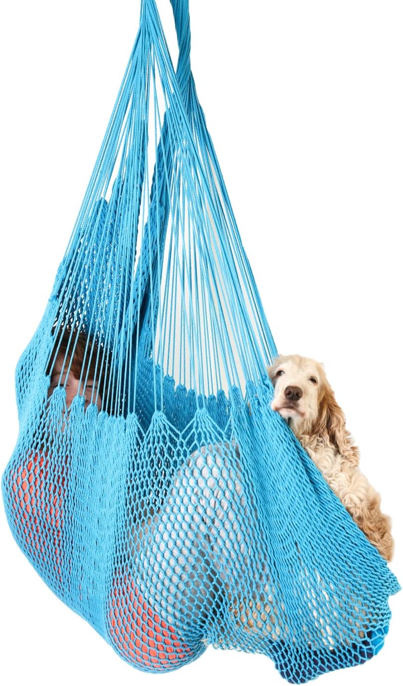 DreamGYM Hammock Swing Chair - Therapy Swing - Sensory Swing for Adults and Children - Sky Blue
