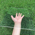 4 mm Clear Polycarbonate Sheet, Rainproof Greenhouse Panels, Easy to Bend and Cut Roof Panels, for Gardens Canopy Carports Windows Boats Greenhouse(60x150cm/24x59in)